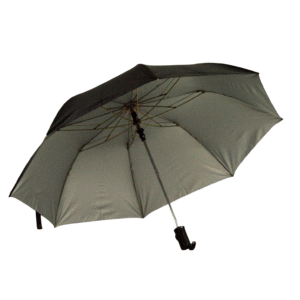 2 Fold Super Deluxe Black Silver Umbrella