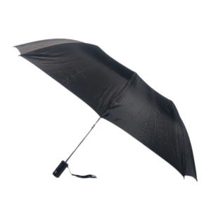 2 Fold Black Silver Umbrella