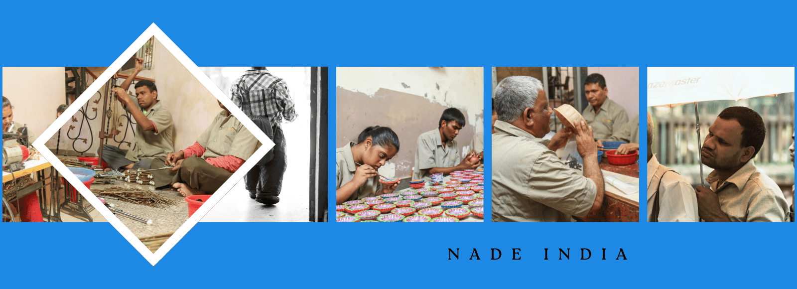 NADE India About us